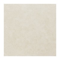 G447313 Chrysant Beige 40x40 Gol A